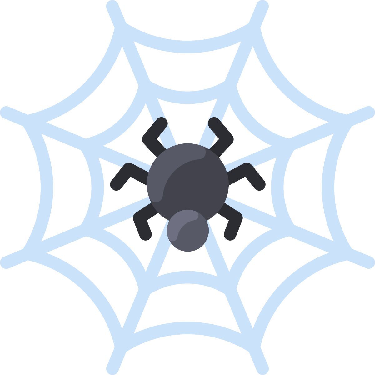 spider icon