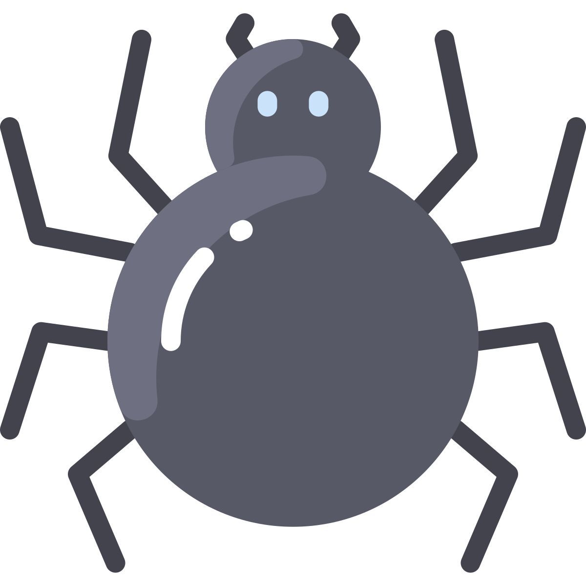 spinne icon