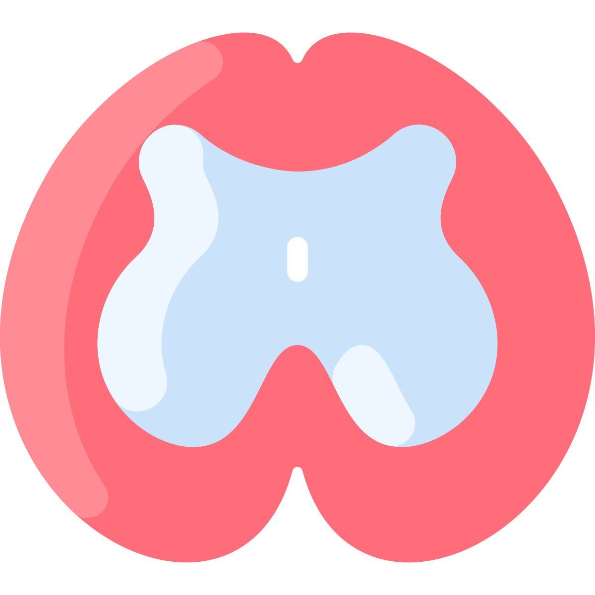 spinal cord icon