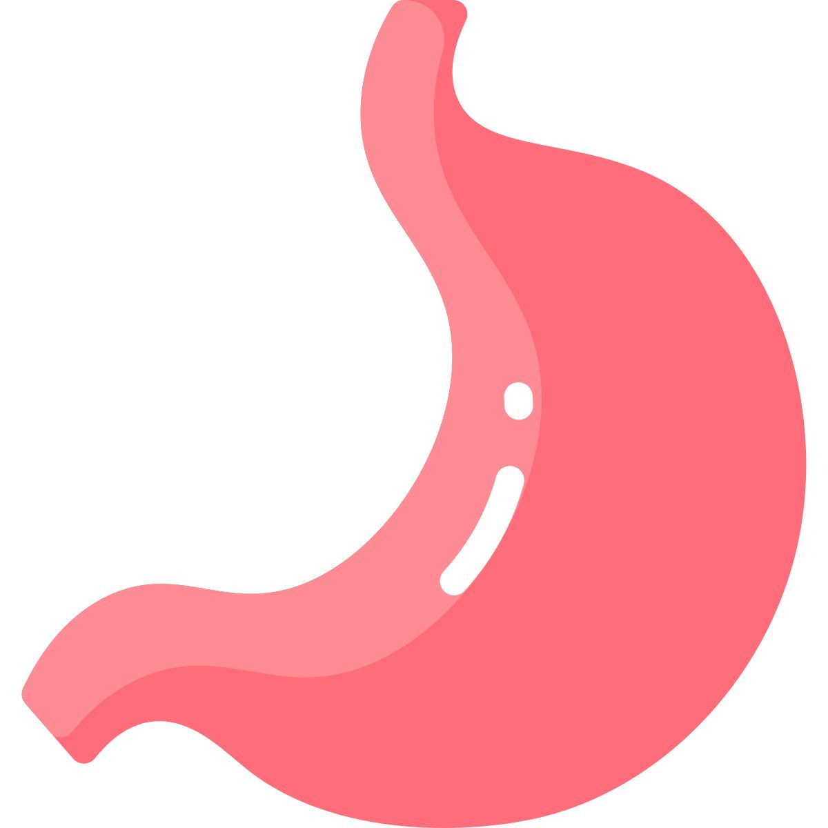 stomach icon
