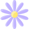 Aster icon