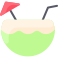 Coconut Drink icon
