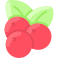 external cranberry-fruit-vitaliy-gorbachev-flat-vitaly-gorbachev icon