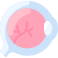 Eyeball icon