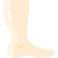 external foot-anatomy-vitaliy-gorbachev-flat-vitaly-gorbachev icon