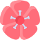 external hibiscus-flowers-vitaliy-gorbachev-flat-vitaly-gorbachev icon