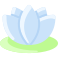 Lotus icon