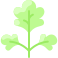 external parsley-vegetable-vitaliy-gorbachev-flat-vitaly-gorbachev icon