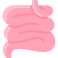 Small Intestine icon