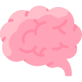 external brain-anatomy-vitaliy-gorbachev-flat-vitaly-gorbachev icon