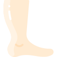 external foot-anatomy-vitaliy-gorbachev-flat-vitaly-gorbachev icon