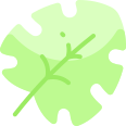 external leaf-jungle-vitaliy-gorbachev-flat-vitaly-gorbachev icon