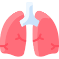 external lungs-anatomy-vitaliy-gorbachev-flat-vitaly-gorbachev icon