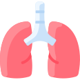 external lungs-quit-smoking-vitaliy-gorbachev-flat-vitaly-gorbachev icon
