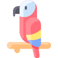 external macaw-jungle-vitaliy-gorbachev-flat-vitaly-gorbachev icon