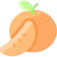 external mandarin-fruit-vitaliy-gorbachev-flat-vitaly-gorbachev icon