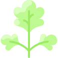 external parsley-vegetable-vitaliy-gorbachev-flat-vitaly-gorbachev icon
