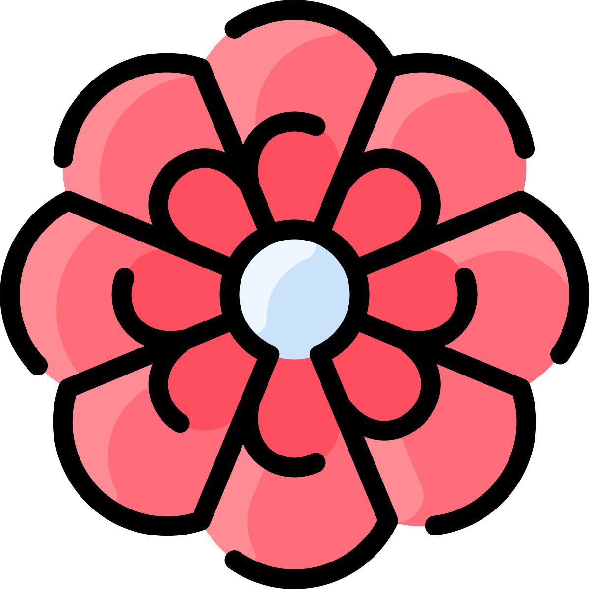 amazon icon