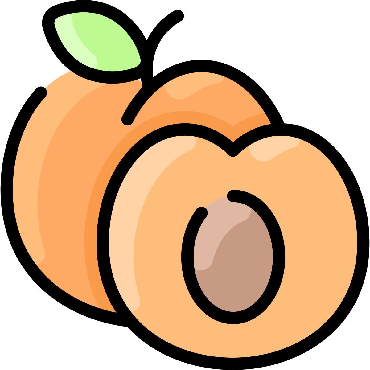 apricot icon