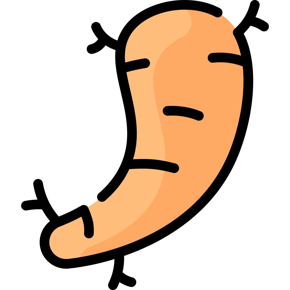 arrowroot icon