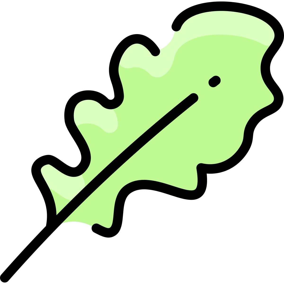 arugula icon