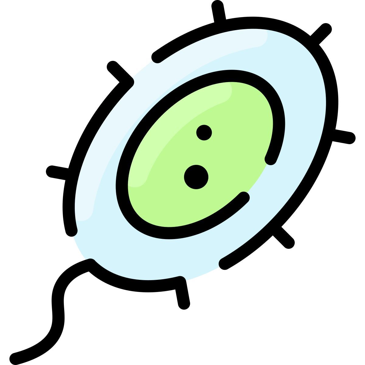 bacteria icon