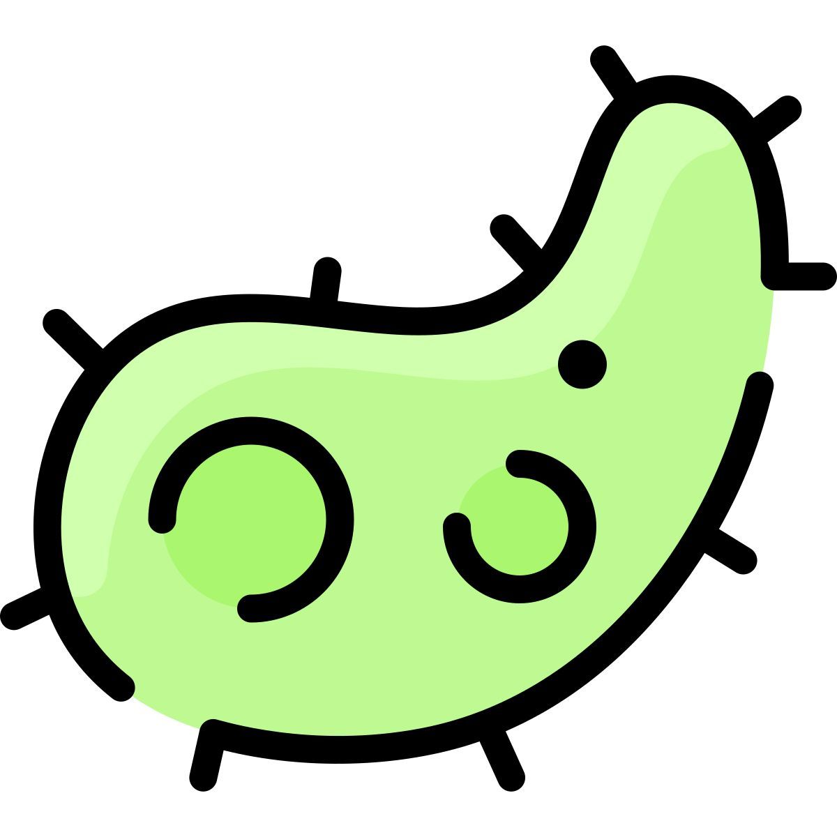 bacteria icon