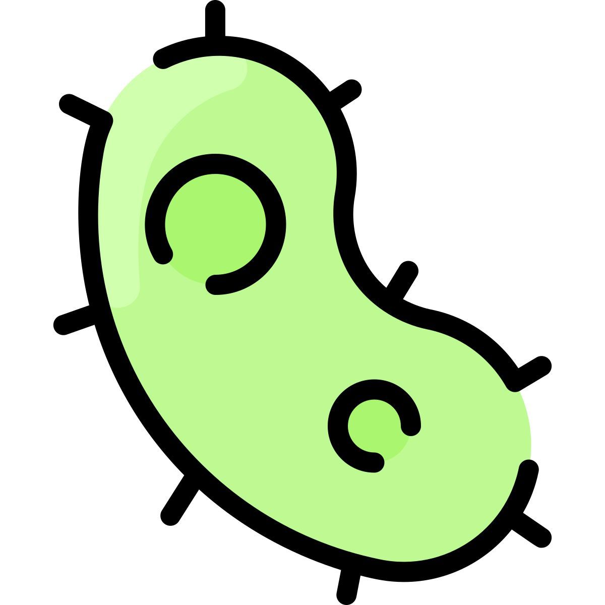 bacteria icon