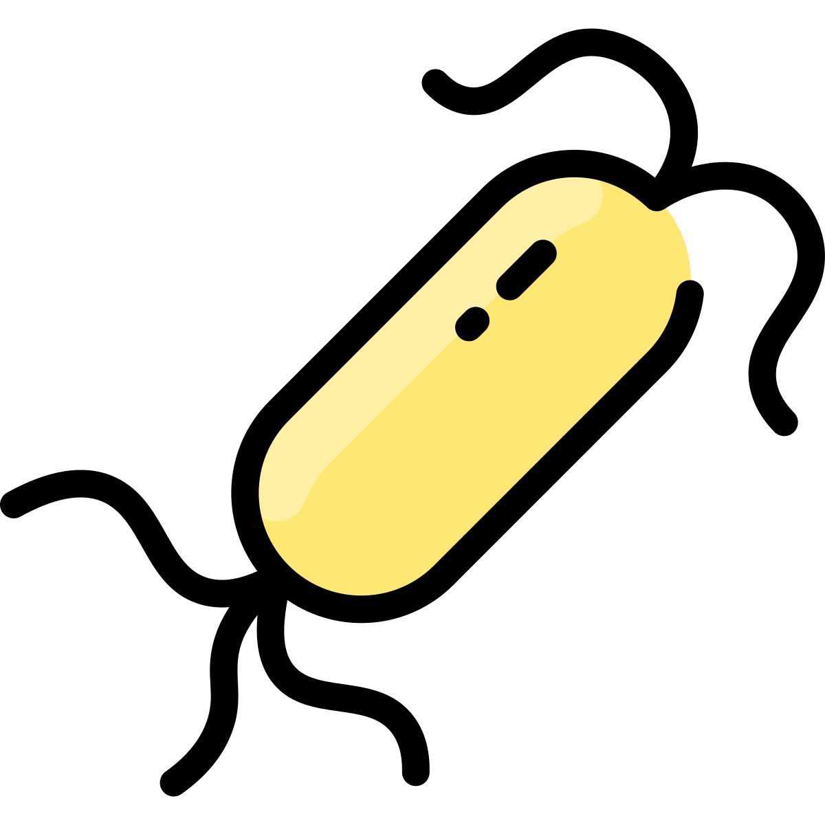 bacteria icon