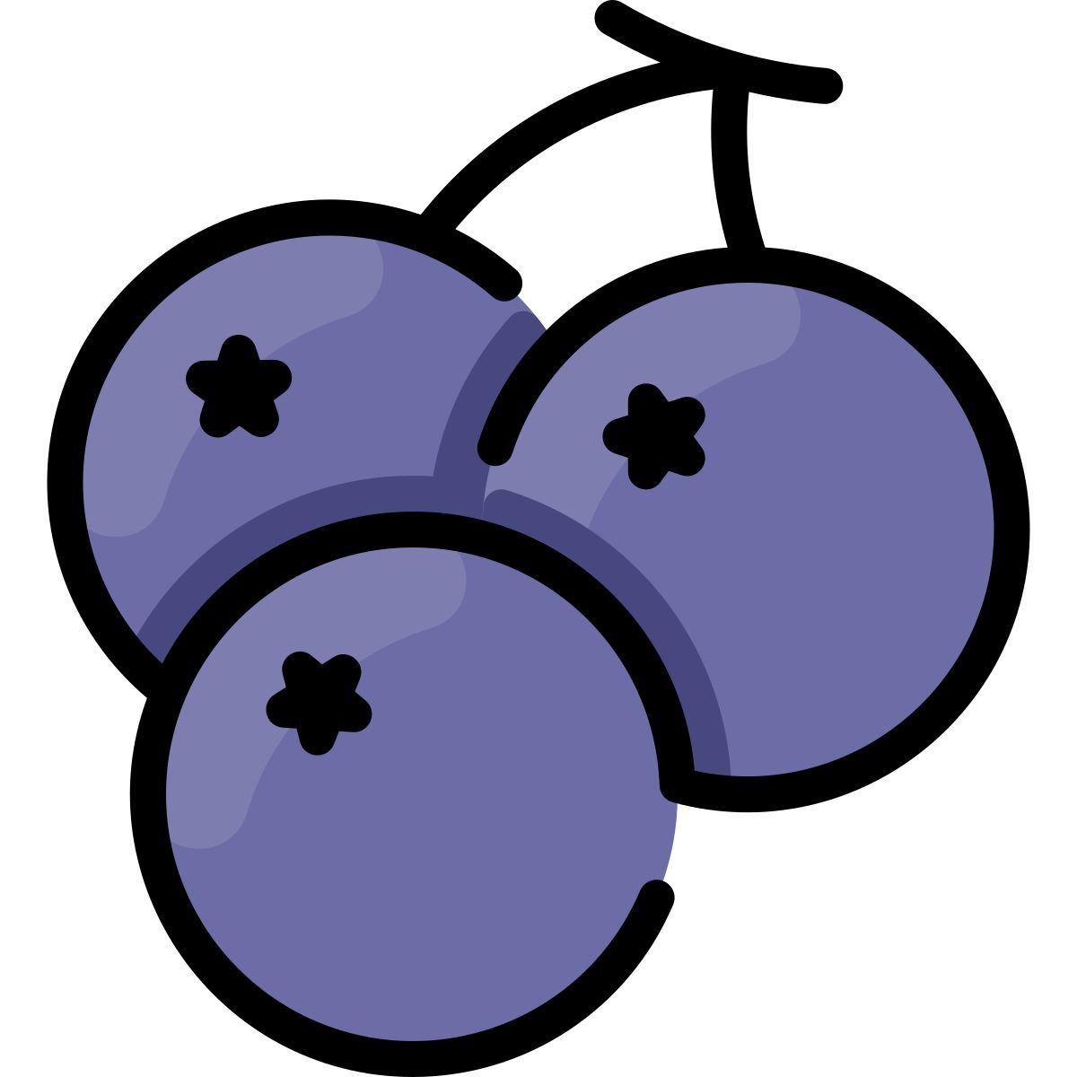 blackcurrant icon