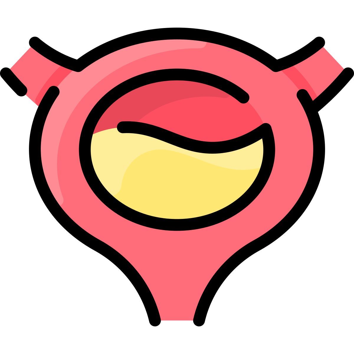 bladder icon