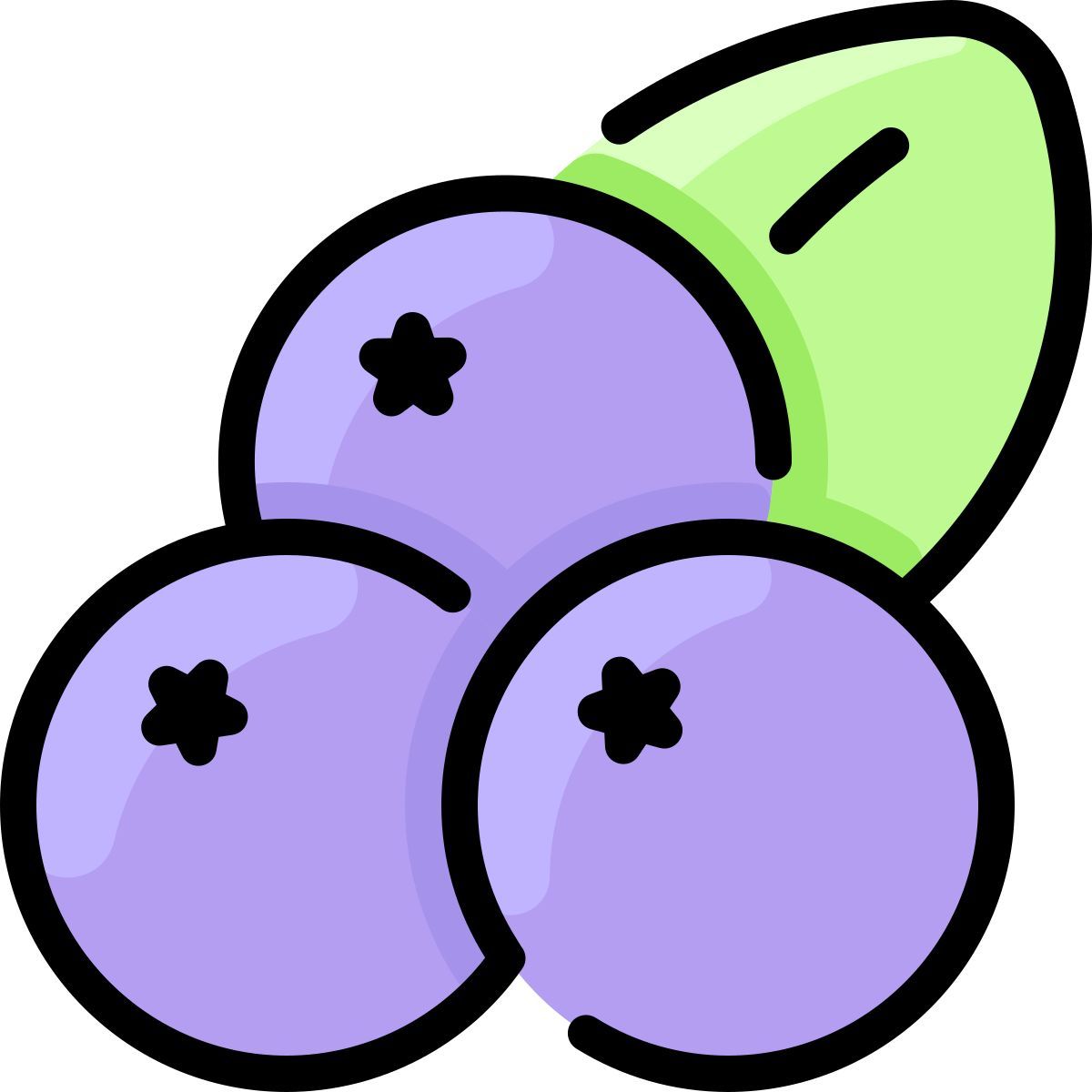 blueberry icon
