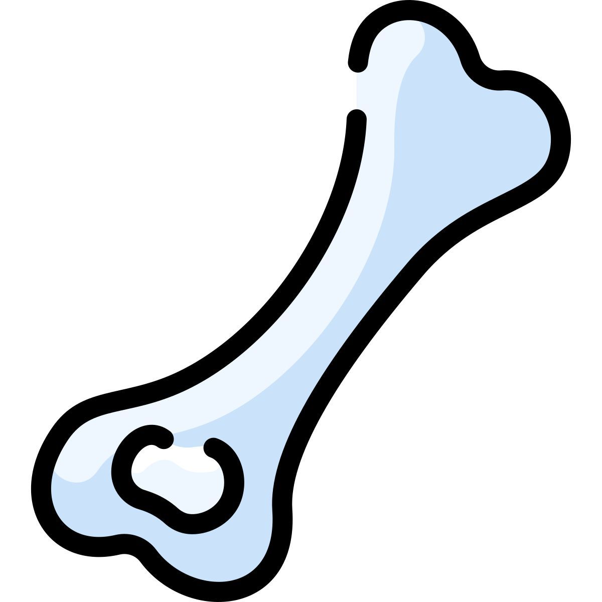 bone icon