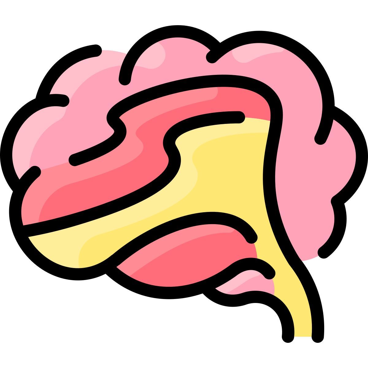 brain icon