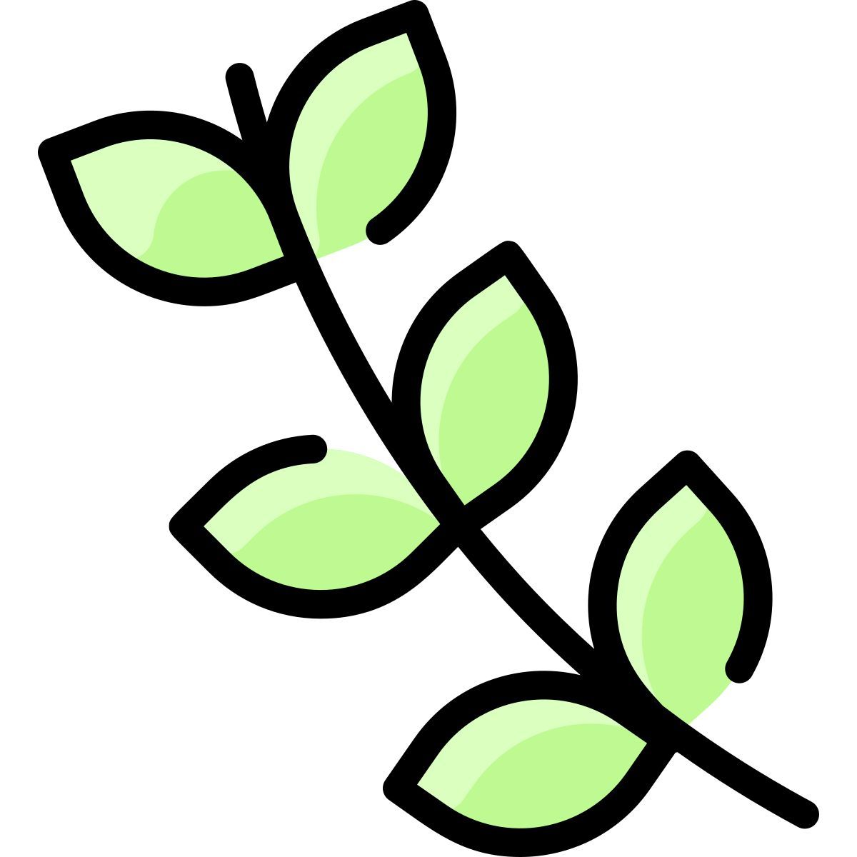 branch icon