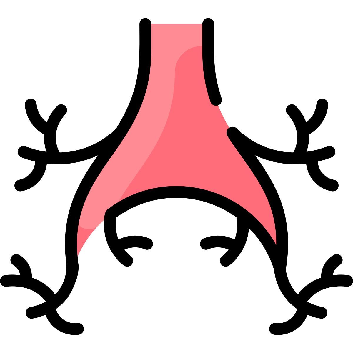 bronchi icon