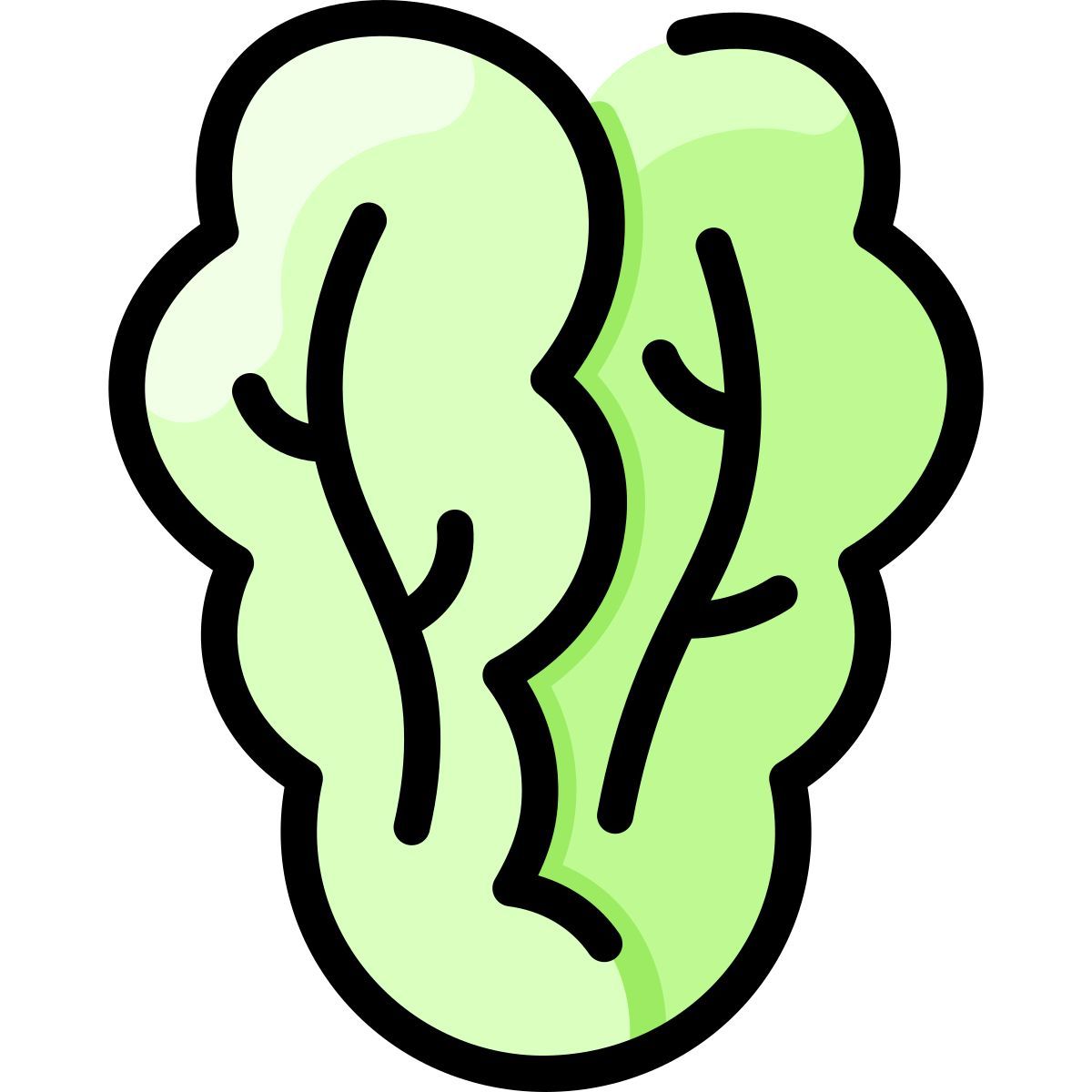 cabbage icon