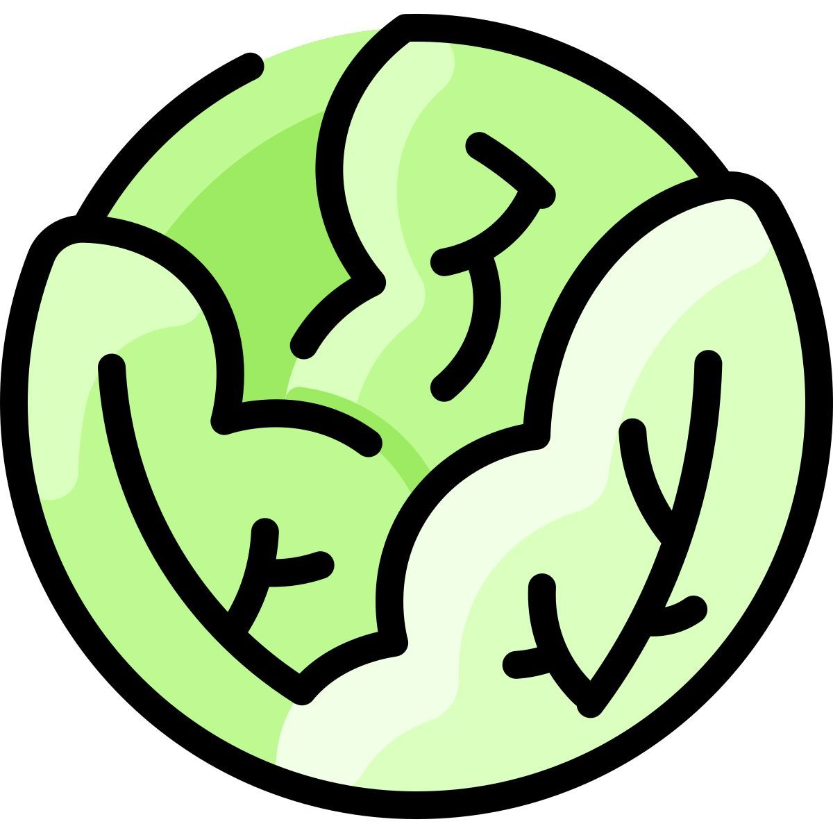 cabbage icon