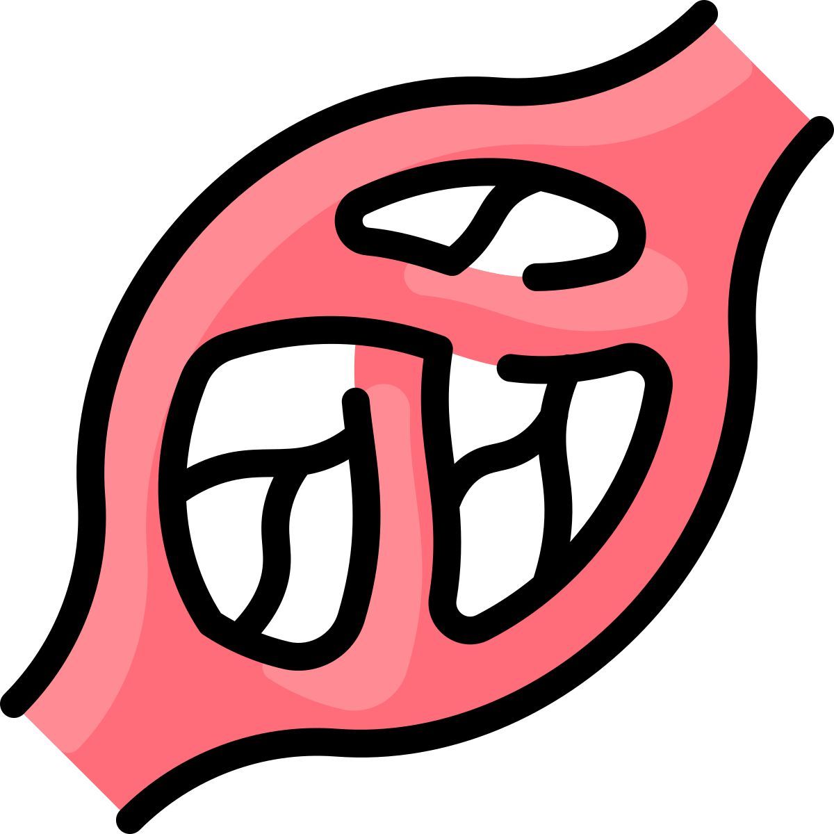 capillaries icon