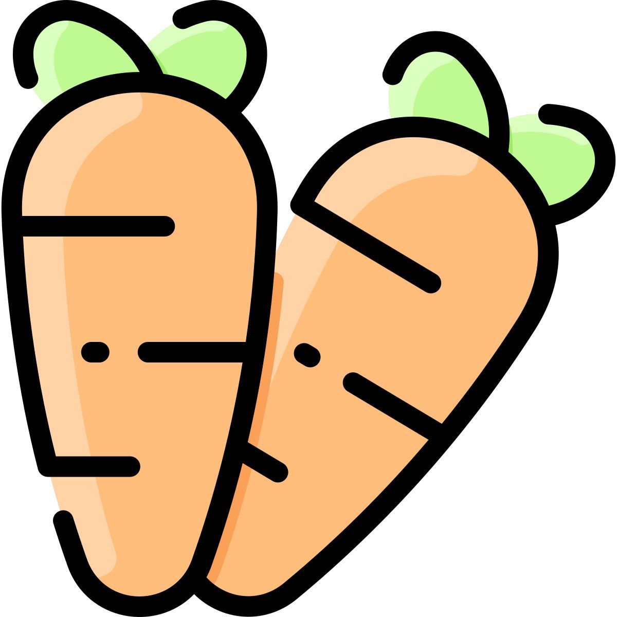 carrot icon
