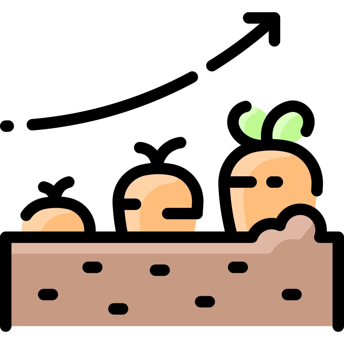 carrot icon