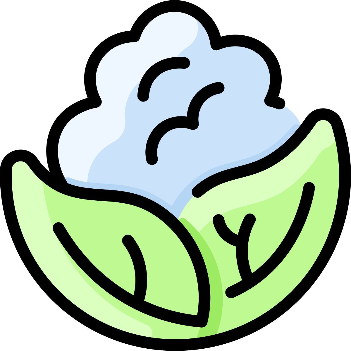 cauliflower icon