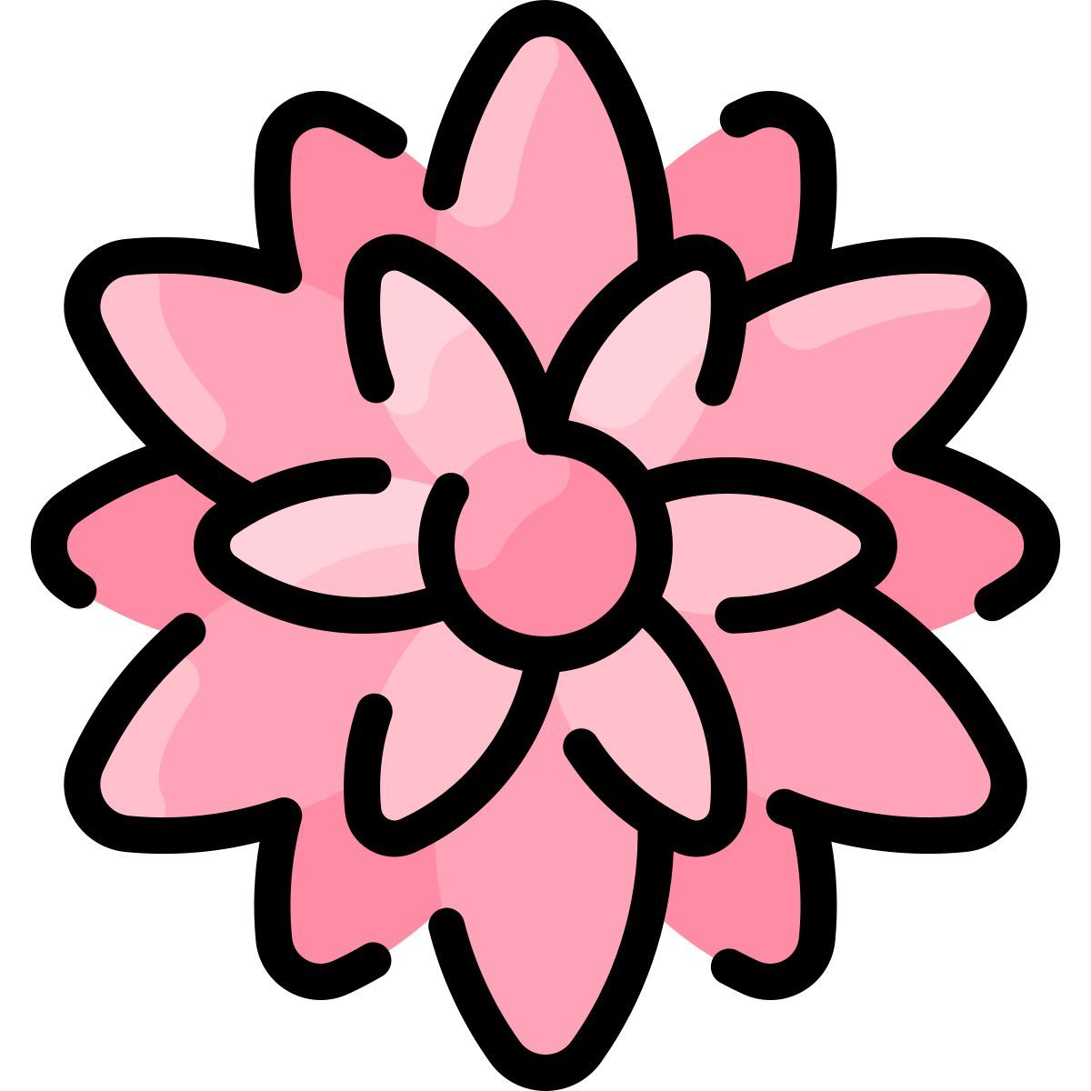chrysanthemum icon