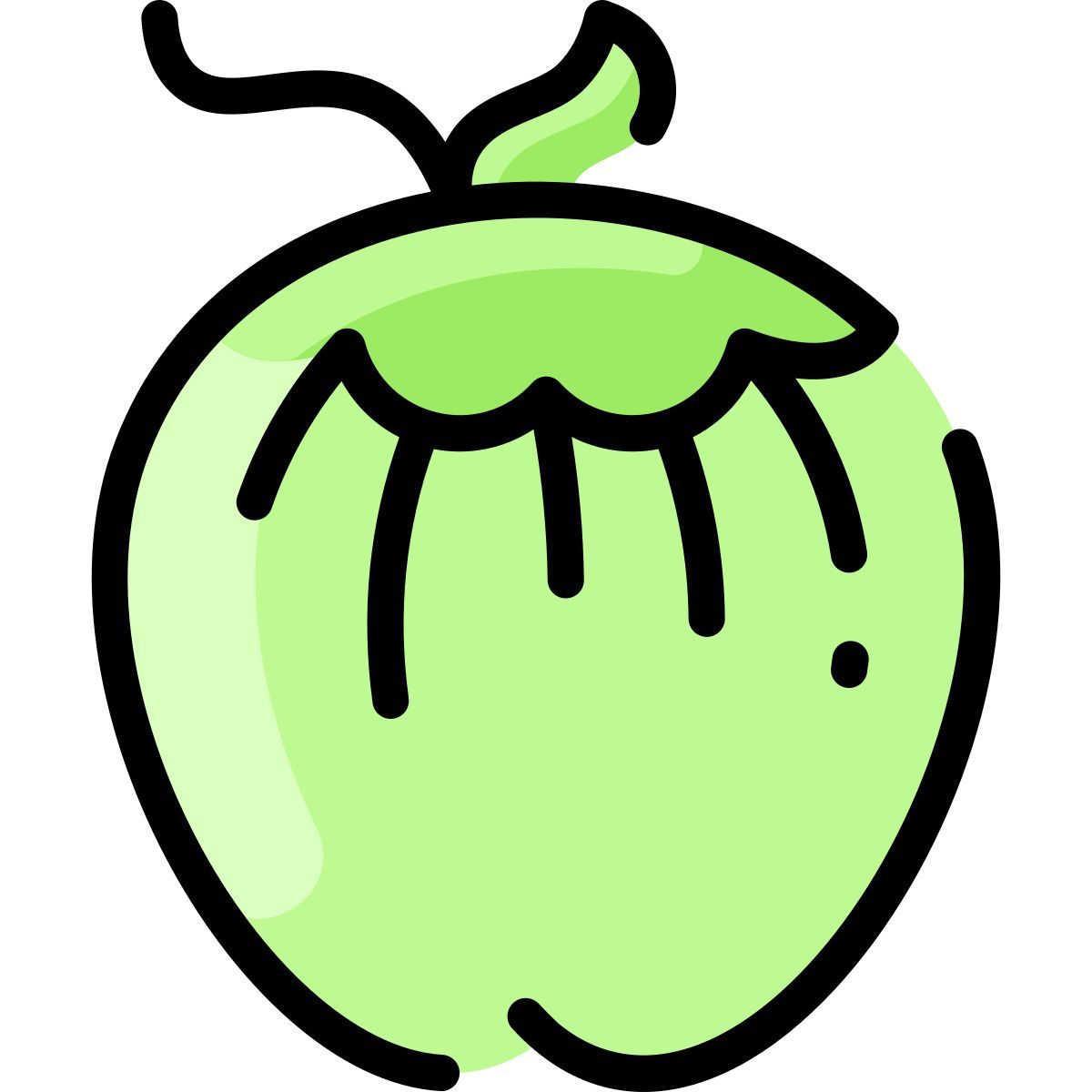Noix de coco icon