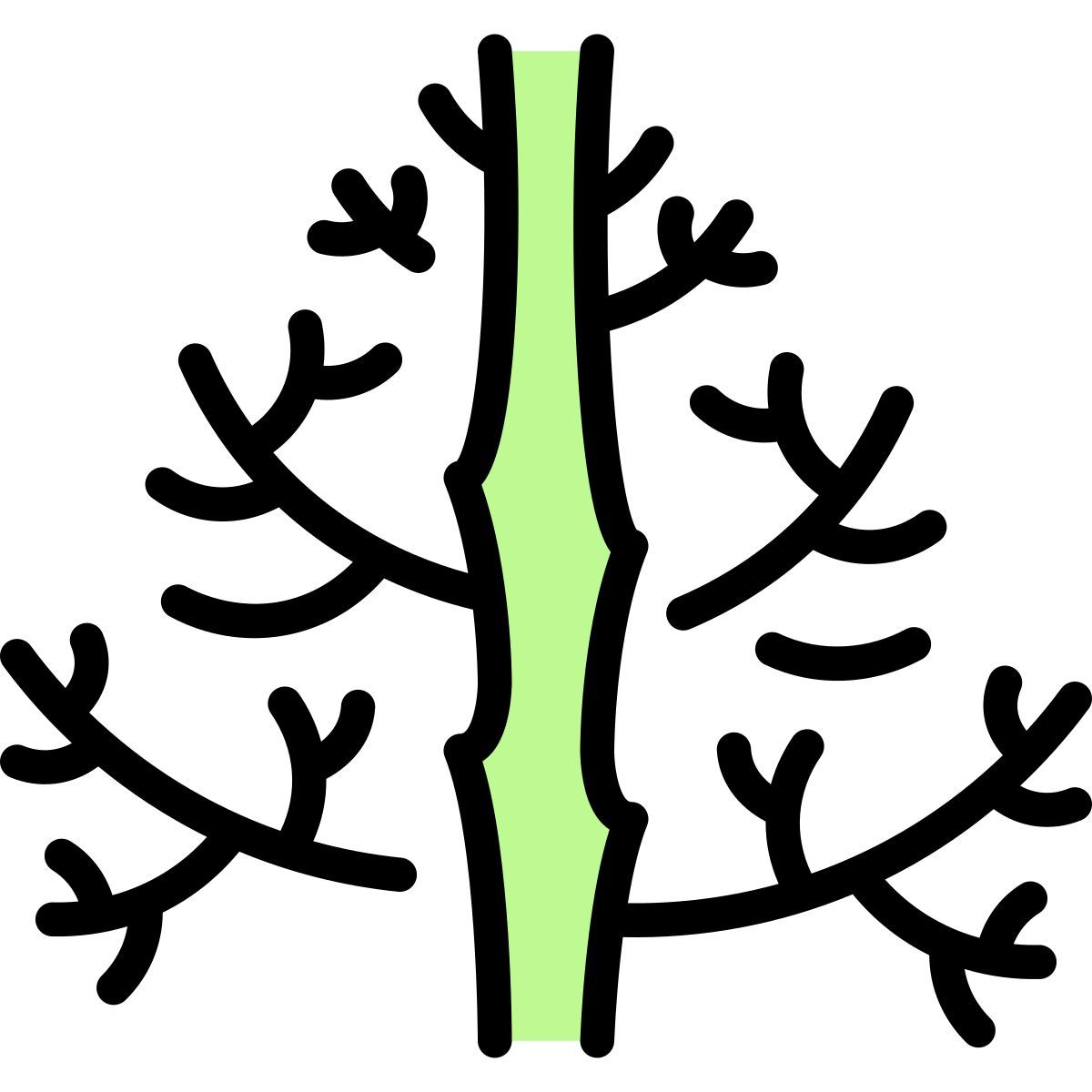 dill icon
