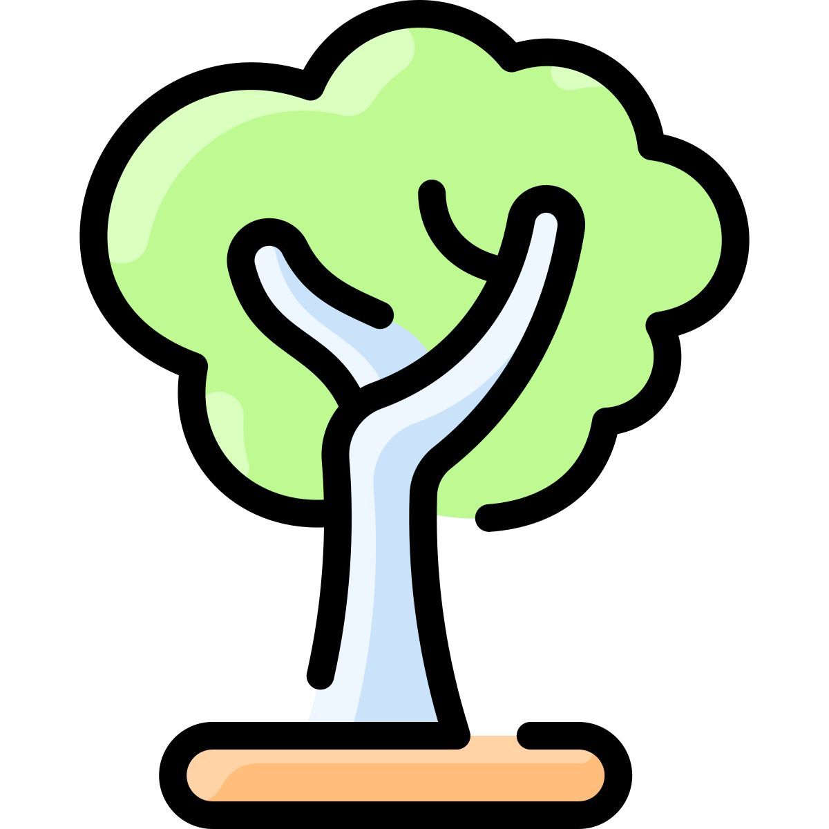 eucalyptus icon