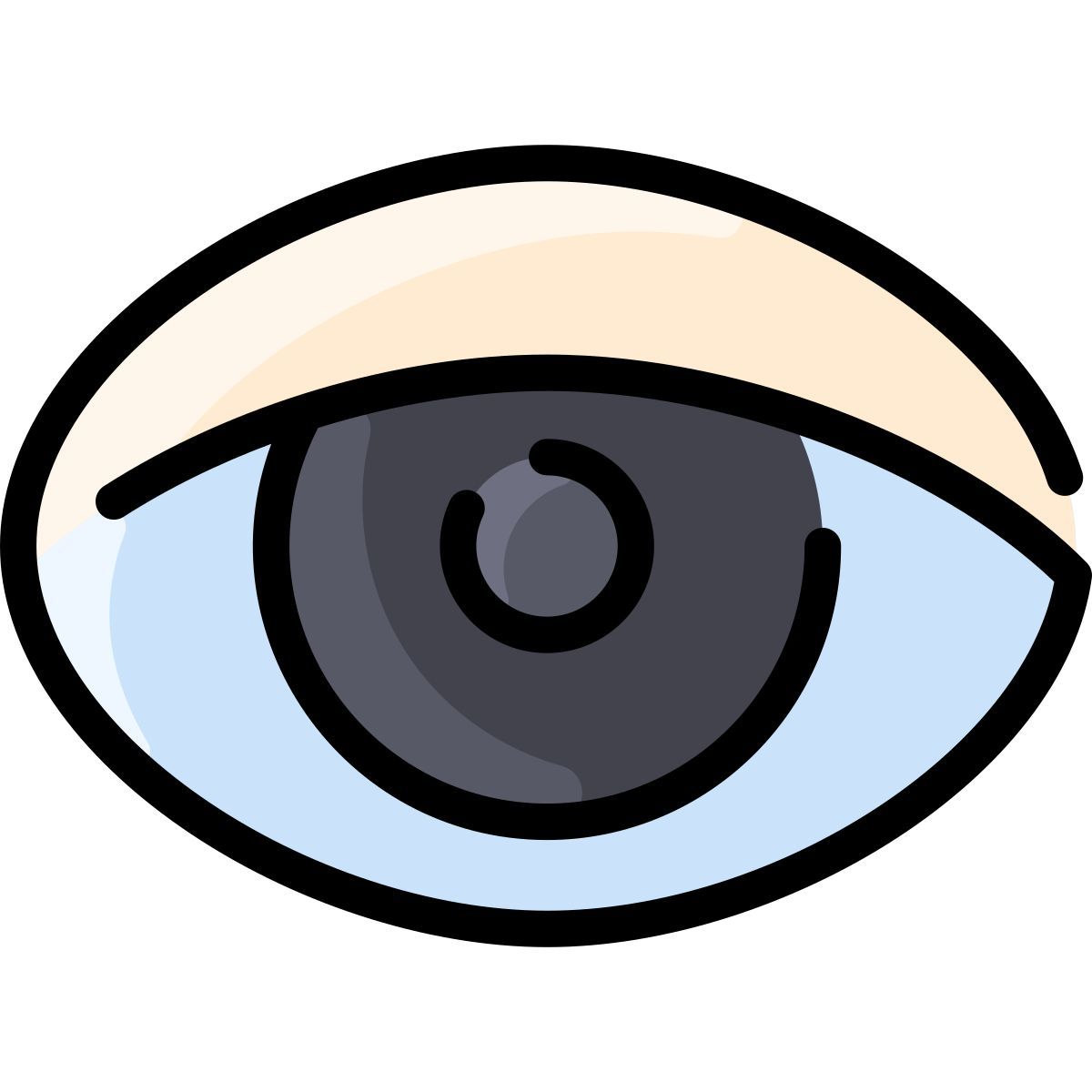 eye icon