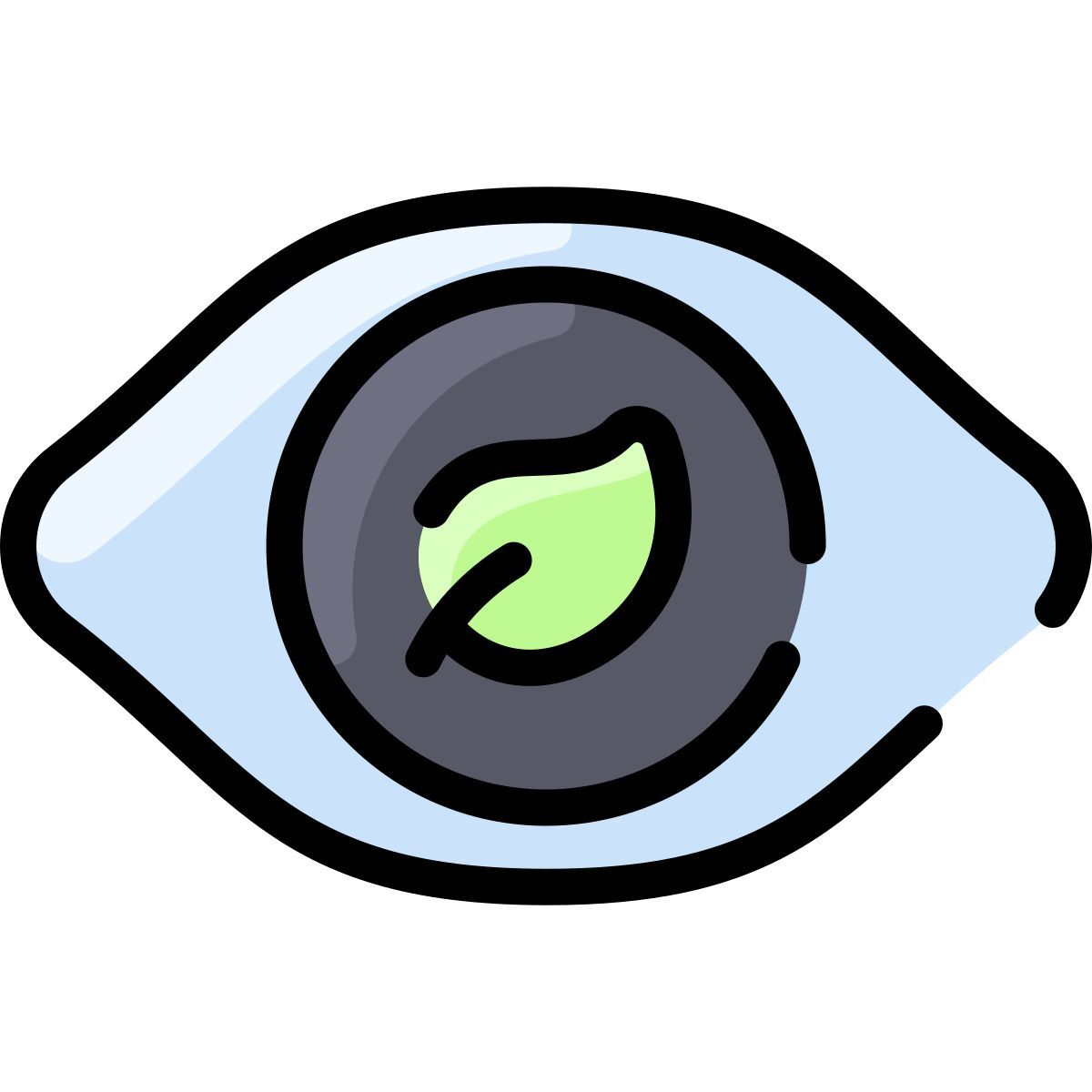 eye icon