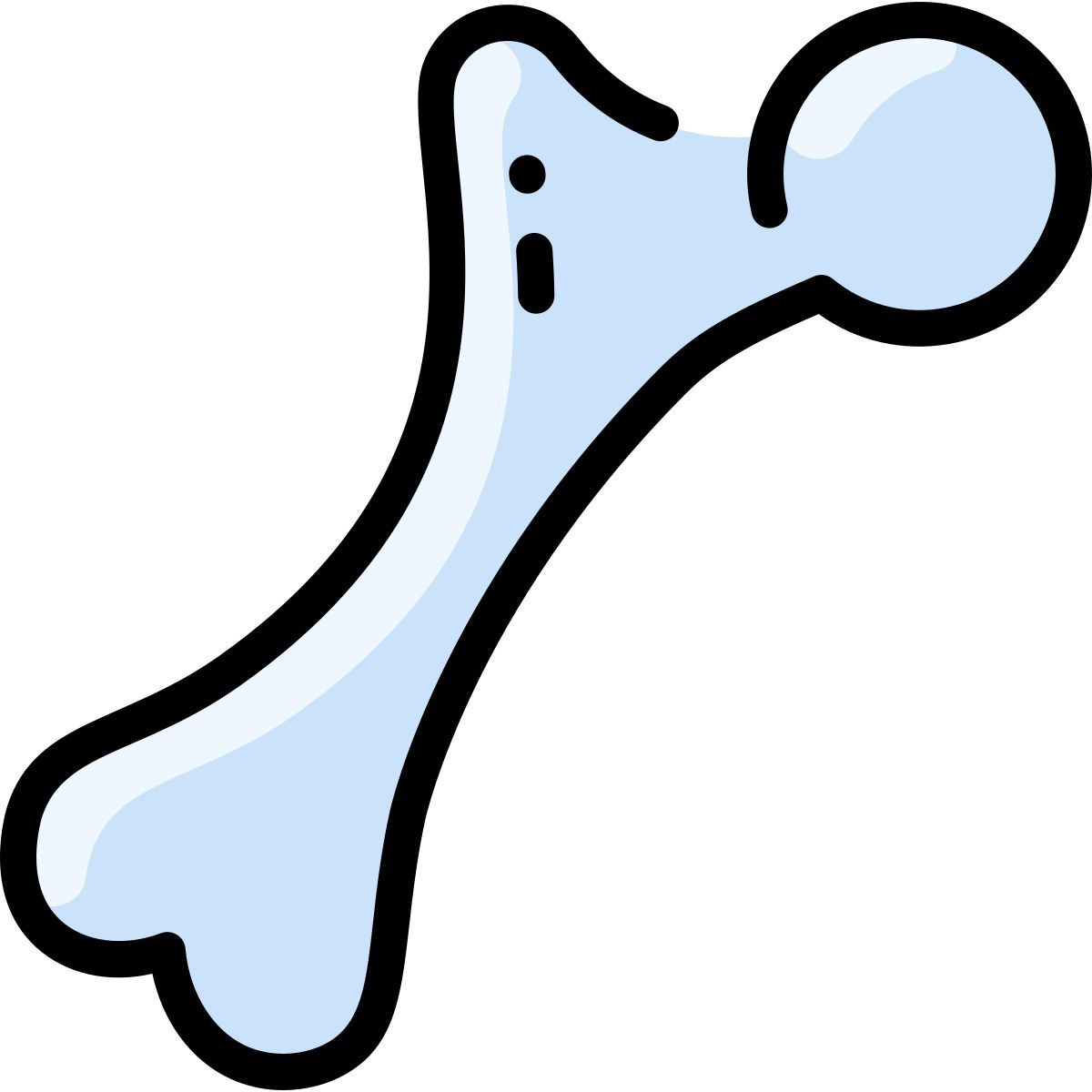 femur icon
