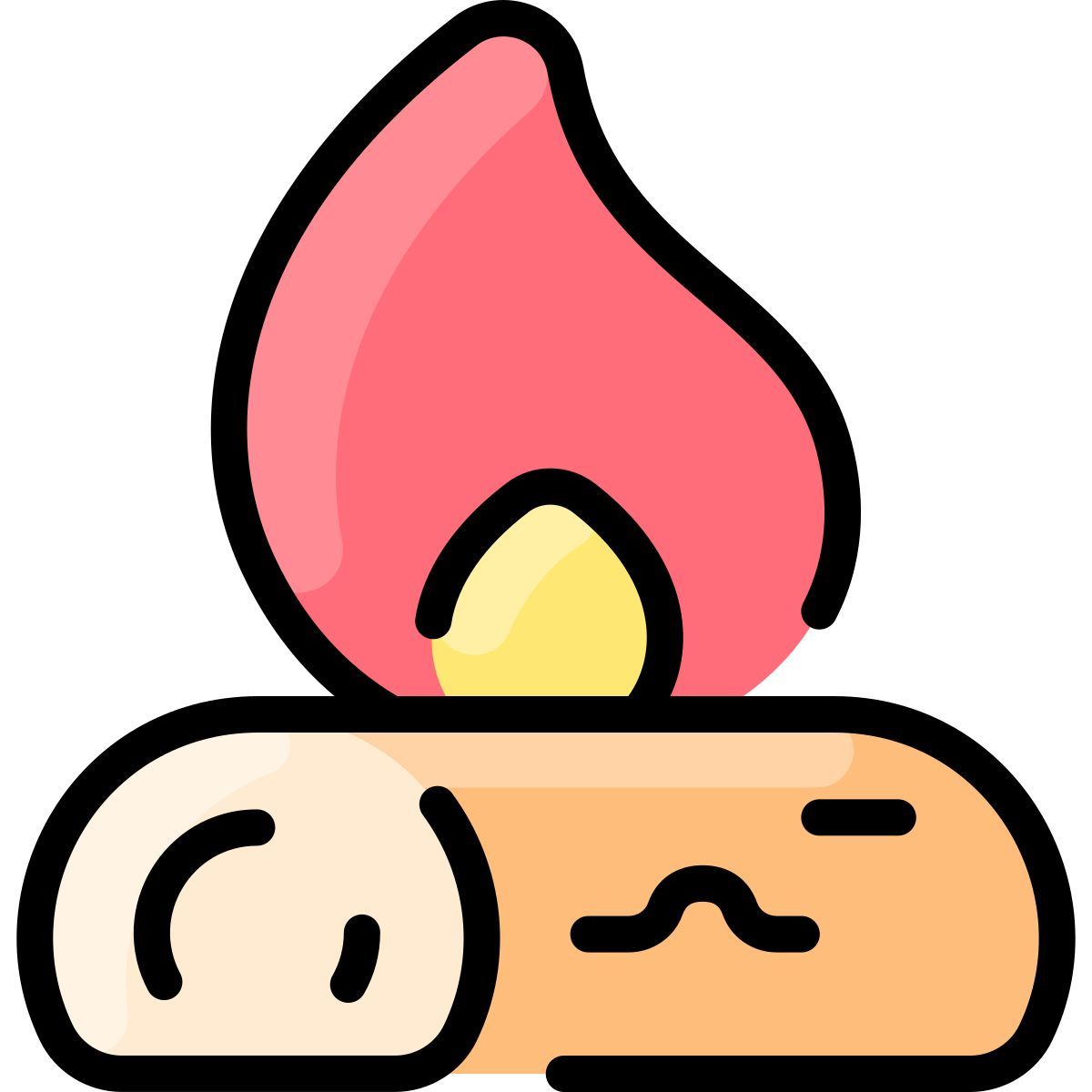 fire icon